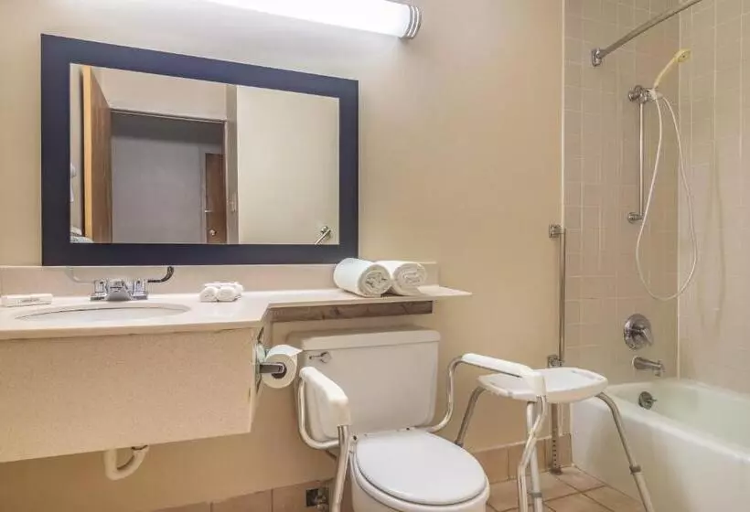 身障者適用スーペリアールーム, Red Roof Inn Ashtabula  Austinburg