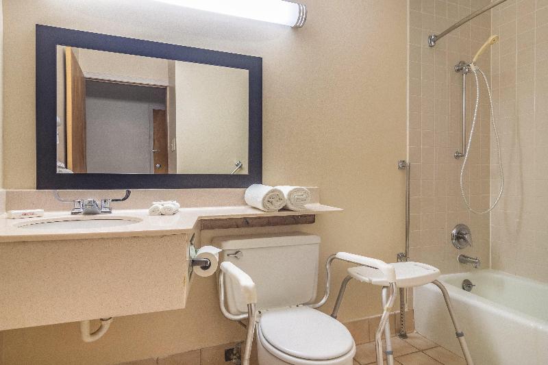 带大床的高级房间, Red Roof Inn Ashtabula Austinburg