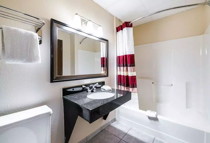 身障者適用キングサイズベッドルーム, Red Roof Inn Palatine