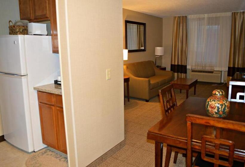 스위트 킹사이즈 침대, Wyndham Garden Hotel Cross Lanes Charleston