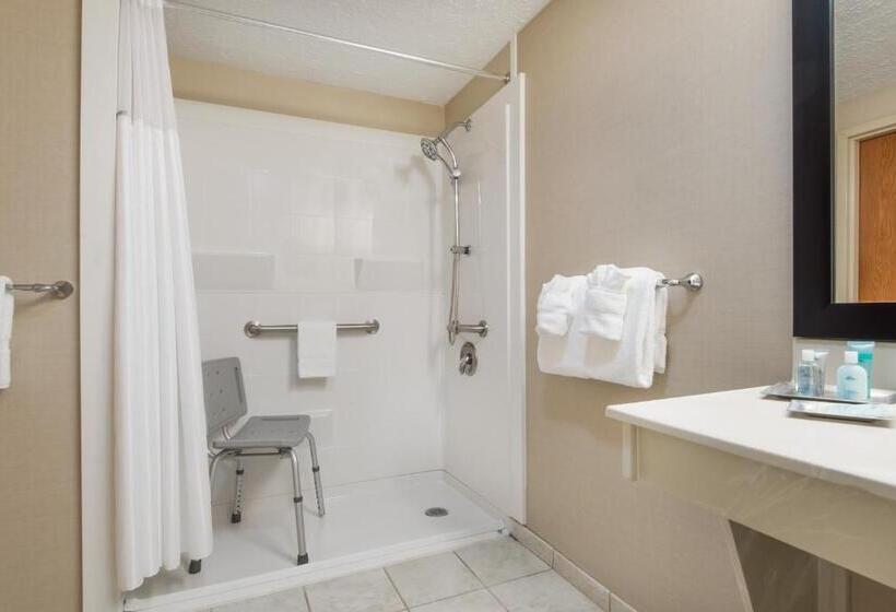 장애인을 위한 스탠다드 룸, Wyndham Garden Hotel Cross Lanes Charleston