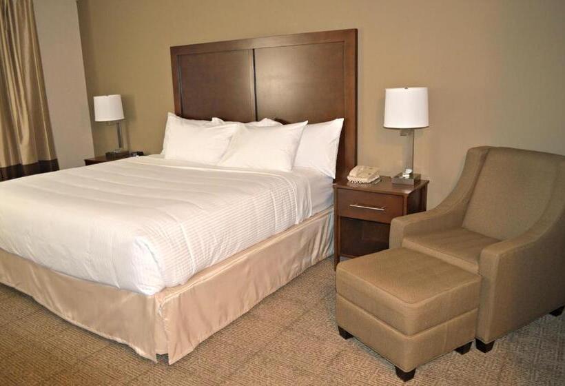 带大床的标准间, Wyndham Garden Hotel Cross Lanes Charleston