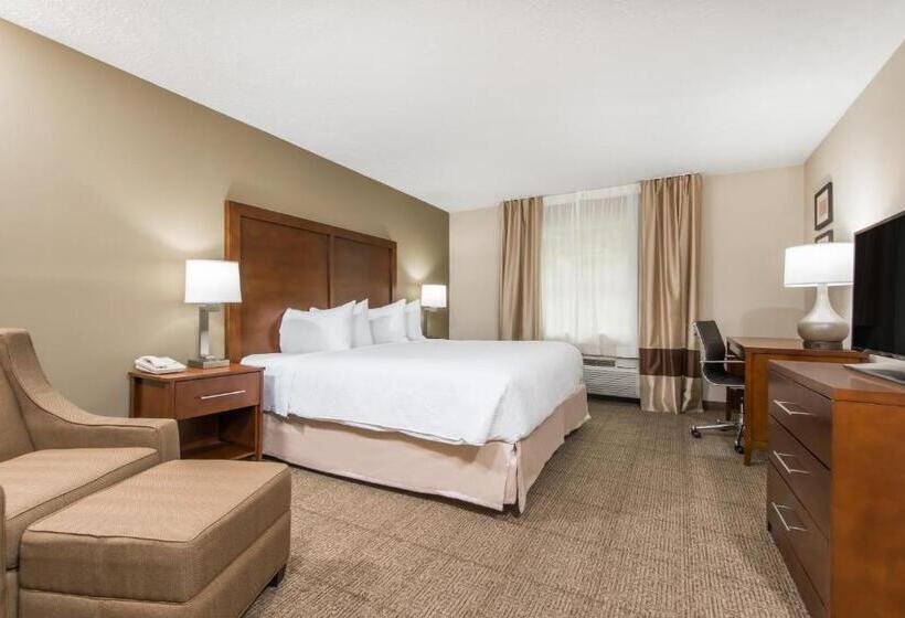 스탠다드 룸 킹사이즈 침대, Wyndham Garden Hotel Cross Lanes Charleston