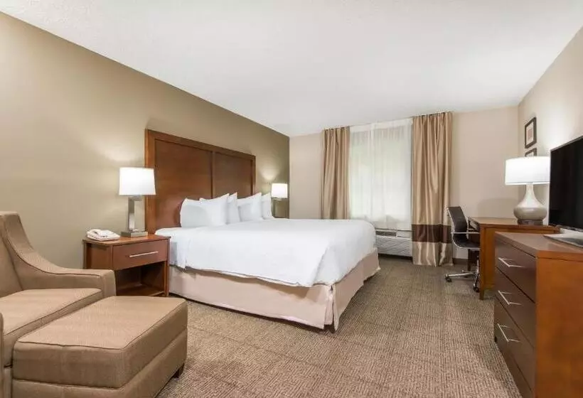 キングサイズベッドのスタンダードルーム, Wyndham Garden Hotel Cross Lanes Charleston