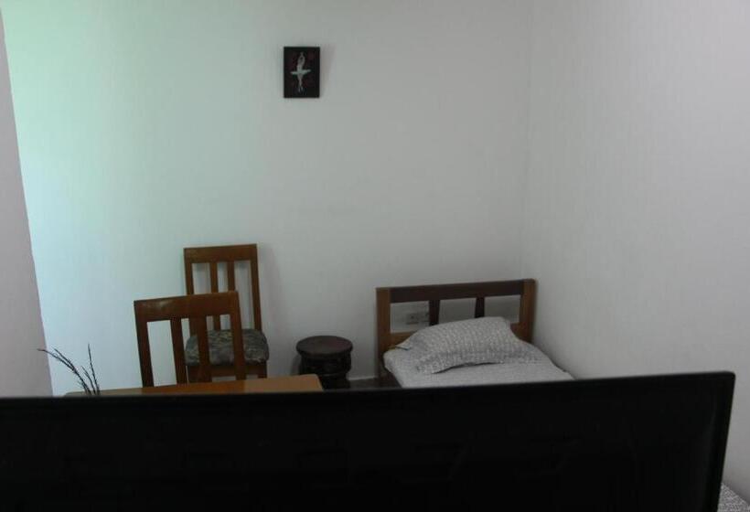 استودیو استاندارد با چشمانداز باغ, Ocean Si Mansion