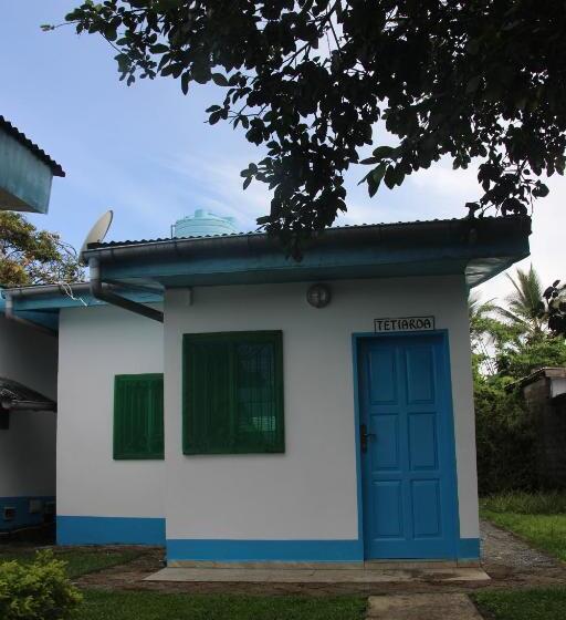 استودیو استاندارد با چشمانداز باغ, Ocean Si Mansion