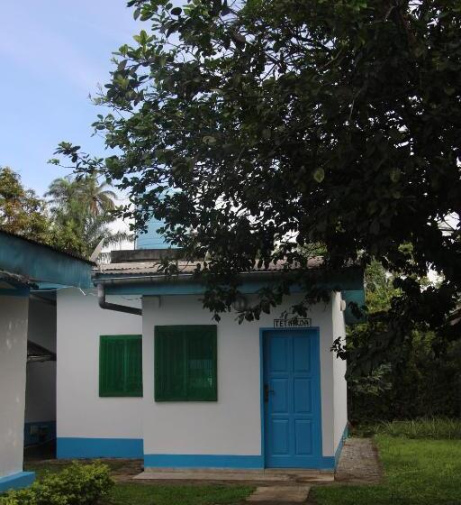 استودیو استاندارد با چشمانداز باغ, Ocean Si Mansion