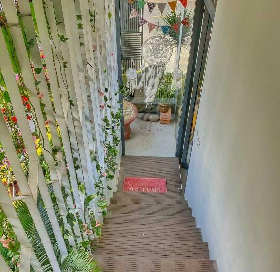استودیو استاندارد با تخت کینگ, Daisy House