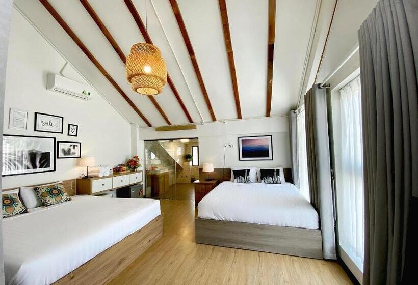 استودیو استاندارد با تخت کینگ, Daisy House