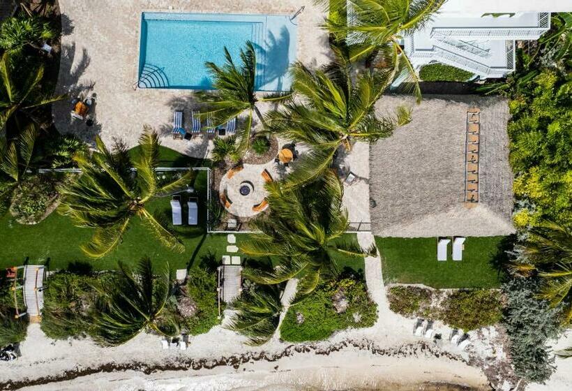 キングサイズベッドのデラックススイート, Grassy Flats Resort & Beach Club
