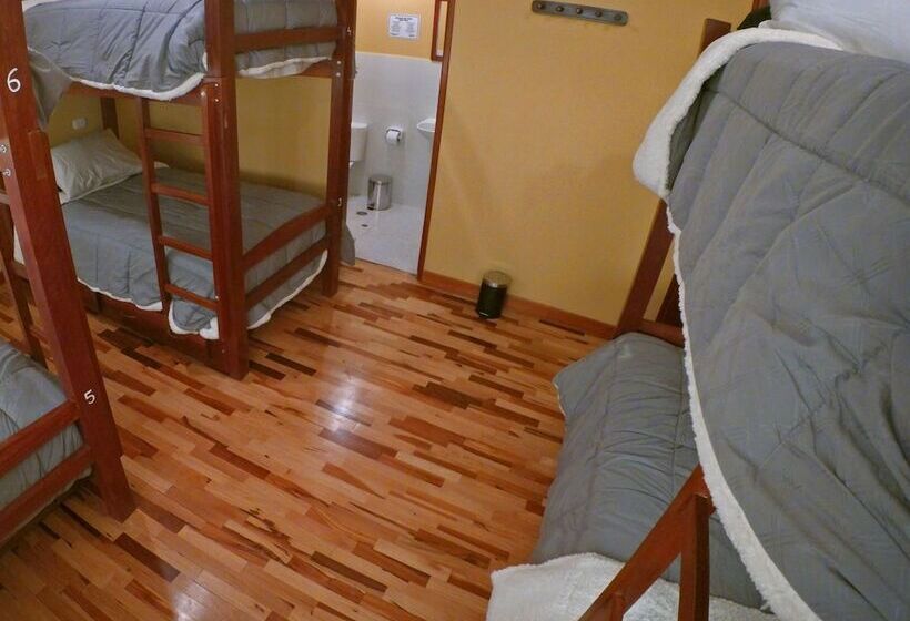 מיטה בחדר משותף, El Parche Rutero Hostel