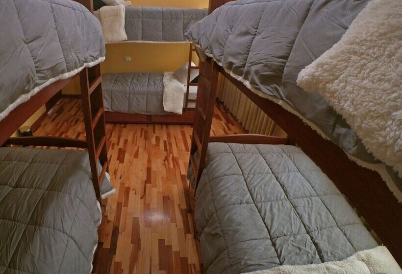 מיטה בחדר משותף, El Parche Rutero Hostel