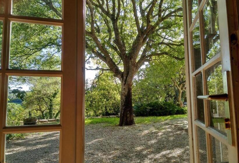 חדר סטנדרט, Maison Catalina