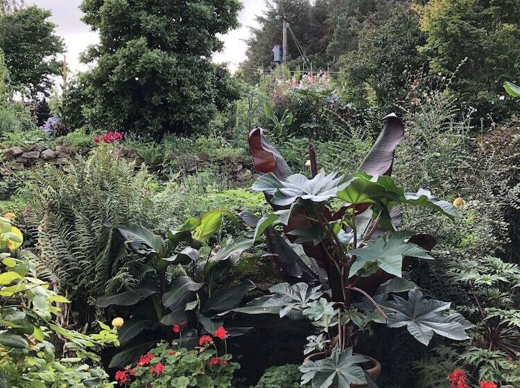 غرفة ديلوكس داخلية, Birdsong Cottage Bed And Breakfast