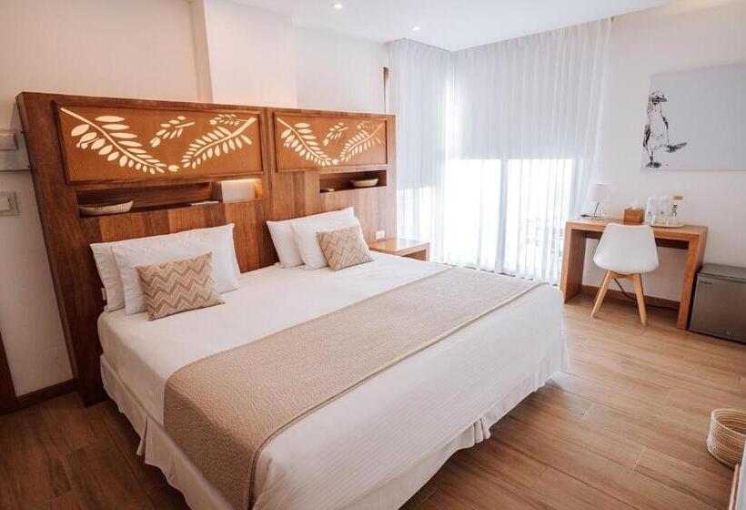 Номер Стандарт, Acacia