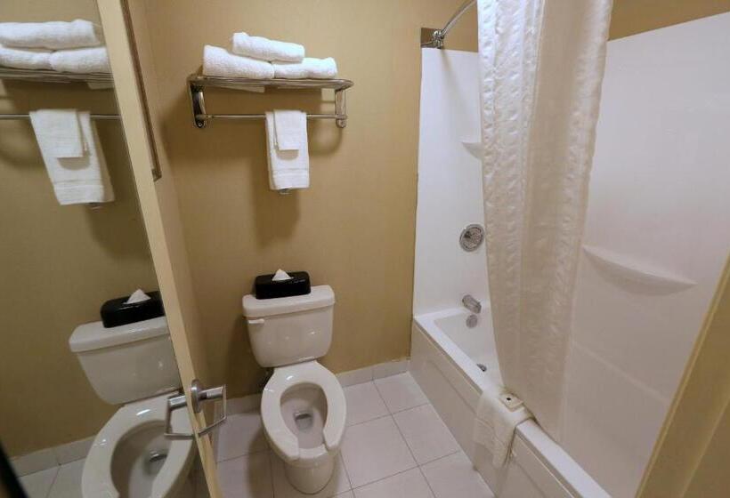 Quarto Estandar, Country Inn & Suites By Radisson, Charlotte I85 Airport, Nc
