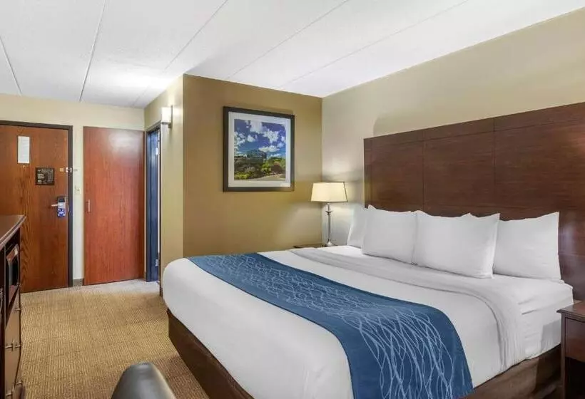 اتاق استاندارد با تخت بزرگ, Comfort Inn Grand Rapids Airport
