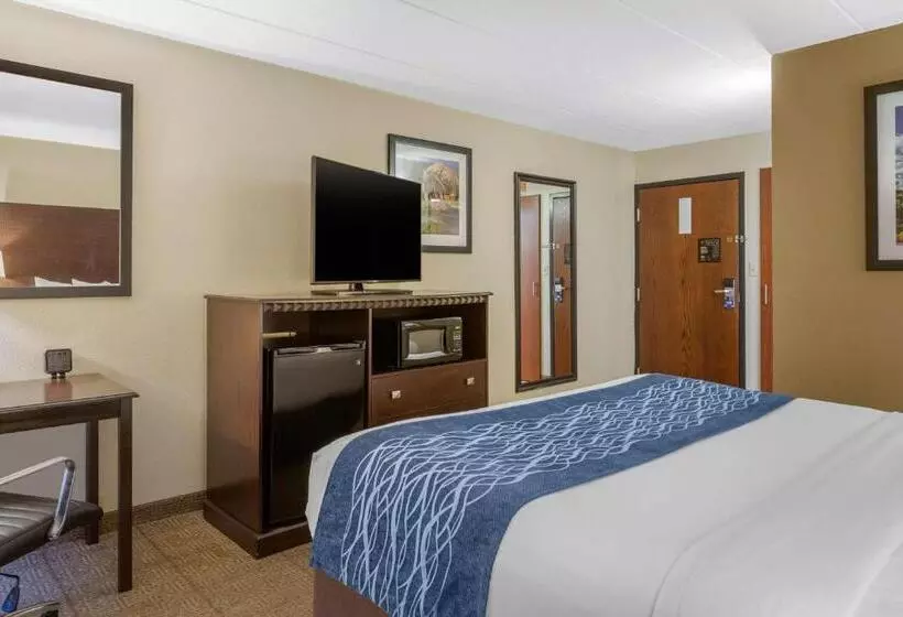اتاق استاندارد با تخت بزرگ, Comfort Inn Grand Rapids Airport