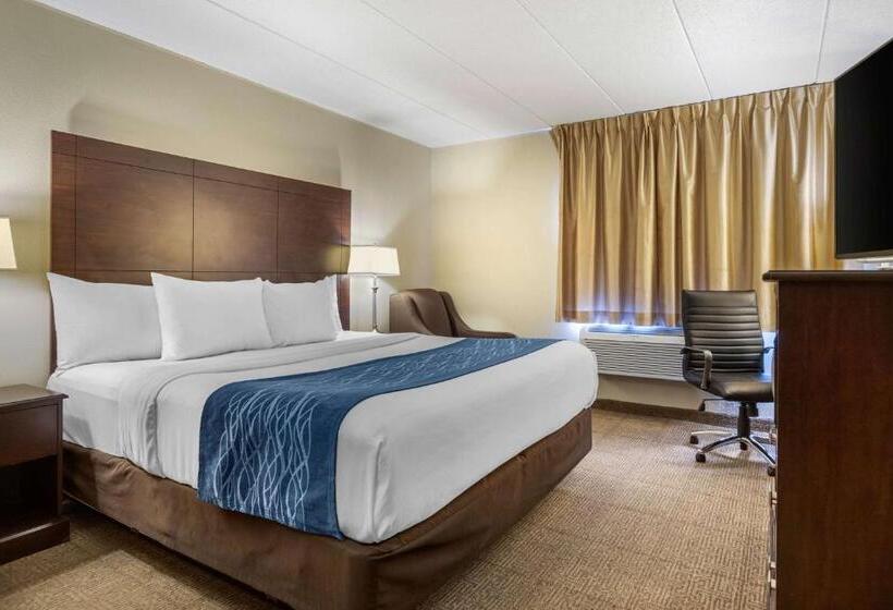 Стандартный Номер Кровать Кинг, Comfort Inn Grand Rapids Airport