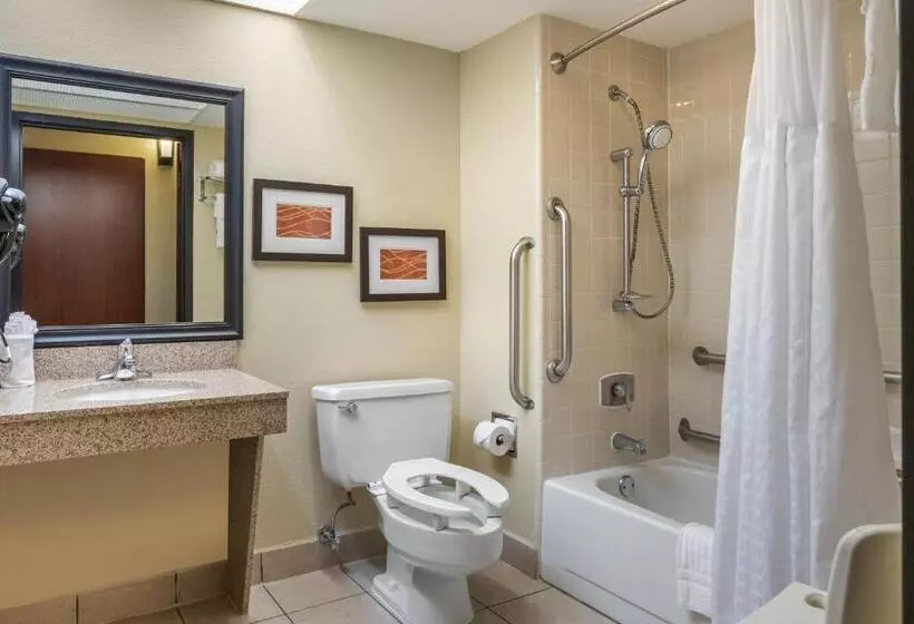 اتاق استاندارد با تخت بزرگ برای معلولان, Comfort Inn Grand Rapids Airport