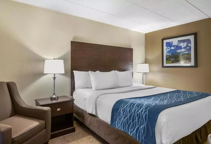 اتاق استاندارد با تخت بزرگ برای معلولان, Comfort Inn Grand Rapids Airport
