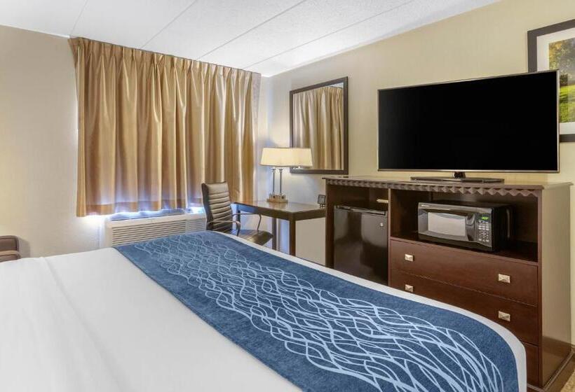 Номер Стандарт Кровать Кинг Адаптированный для Инвалидов, Comfort Inn Grand Rapids Airport