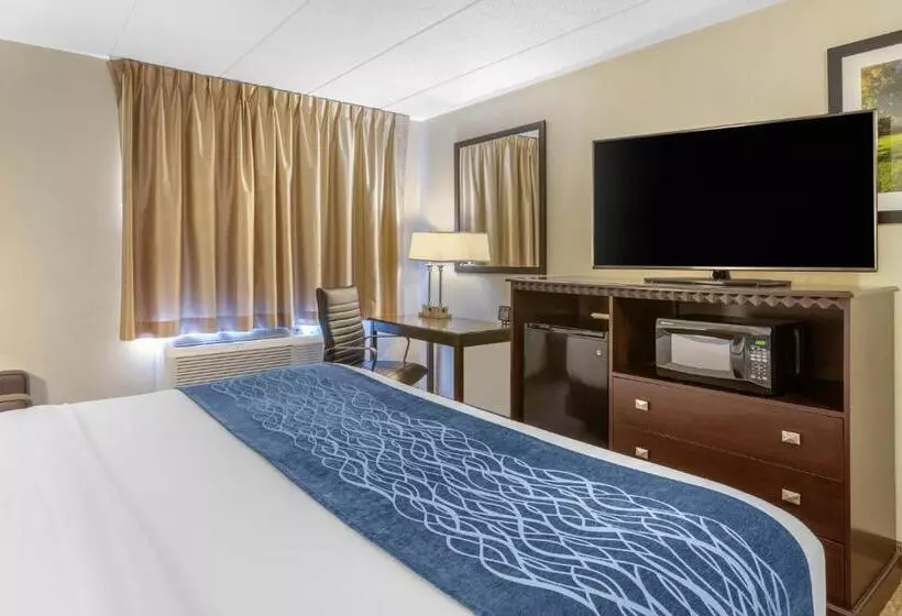 اتاق استاندارد با تخت بزرگ برای معلولان, Comfort Inn Grand Rapids Airport