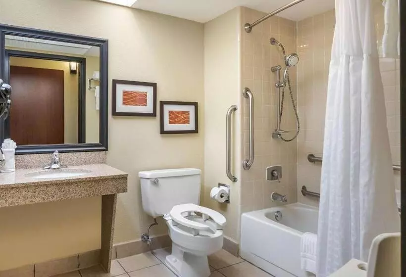اتاق استاندارد با تخت بزرگ برای معلولان, Comfort Inn Grand Rapids Airport