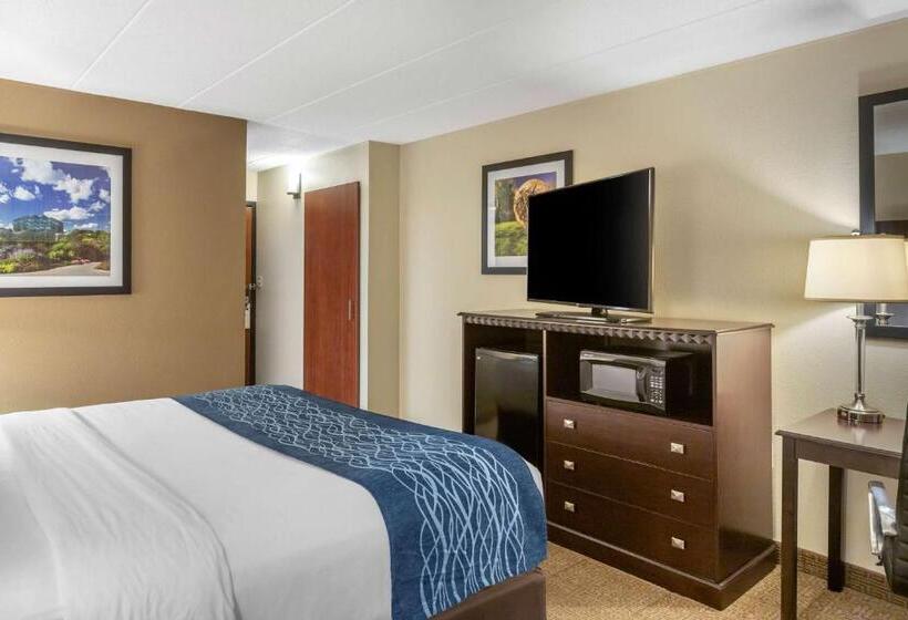 Номер Стандарт Кровать Кинг Адаптированный для Инвалидов, Comfort Inn Grand Rapids Airport