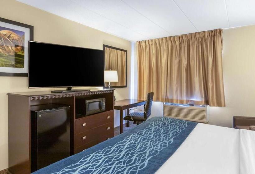 Номер Стандарт Кровать Кинг Адаптированный для Инвалидов, Comfort Inn Grand Rapids Airport