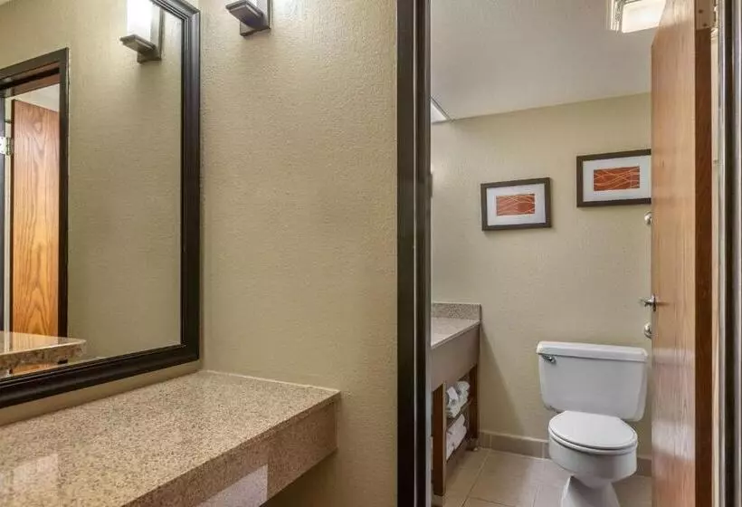 اتاق استاندارد با 2 تخت دوبل, Comfort Inn Grand Rapids Airport