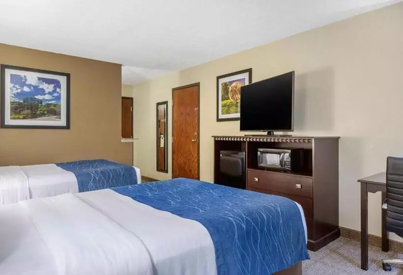 اتاق استاندارد با 2 تخت دوبل, Comfort Inn Grand Rapids Airport