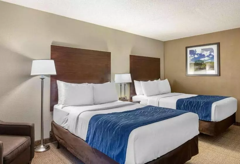 اتاق استاندارد با 2 تخت دوبل, Comfort Inn Grand Rapids Airport