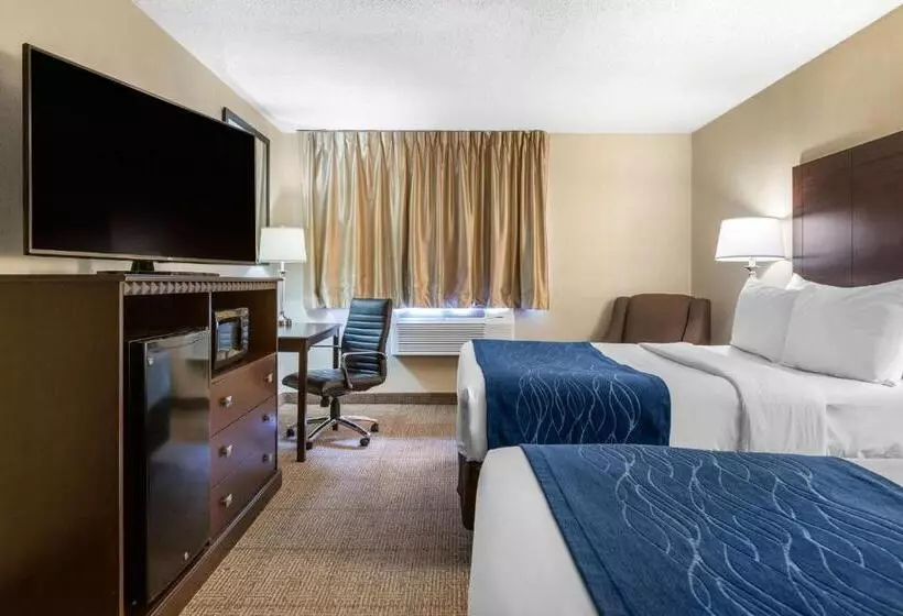 اتاق استاندارد با 2 تخت دوبل, Comfort Inn Grand Rapids Airport