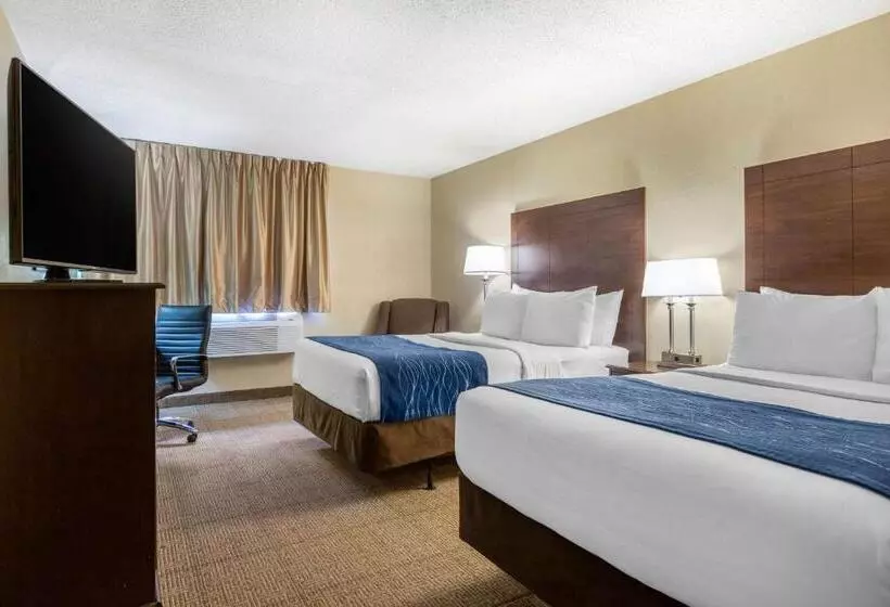 اتاق استاندارد با 2 تخت دوبل, Comfort Inn Grand Rapids Airport