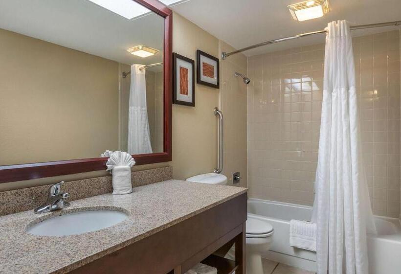 Стандартный Номер Кровать Кинг, Comfort Inn Grand Rapids Airport