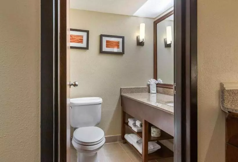 اتاق استاندارد با بالکن, Comfort Inn Grand Rapids Airport