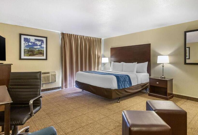 Номер Стандарт с Балконом, Comfort Inn Grand Rapids Airport