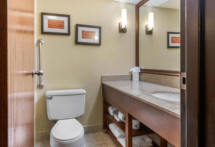 Номер Стандарт 2 Двуспальные Кровати, Comfort Inn Grand Rapids Airport