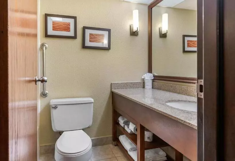 سوئیت با تخت بزرگ, Comfort Inn Grand Rapids Airport