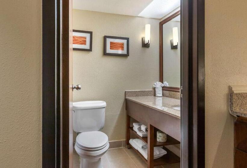 Люкс Кровать Кинг, Comfort Inn Grand Rapids Airport