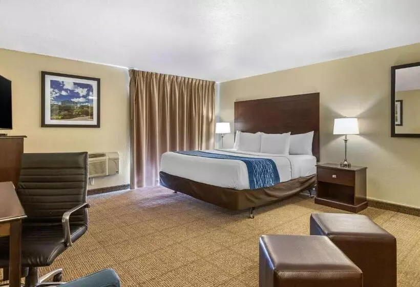 سوئیت با تخت بزرگ, Comfort Inn Grand Rapids Airport
