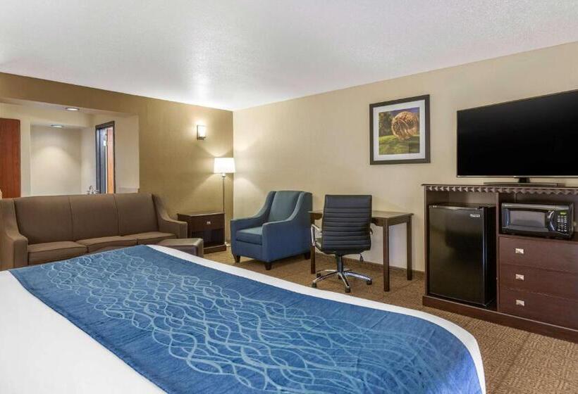 Люкс Кровать Кинг, Comfort Inn Grand Rapids Airport