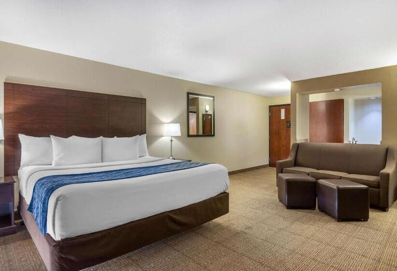 Люкс Кровать Кинг, Comfort Inn Grand Rapids Airport