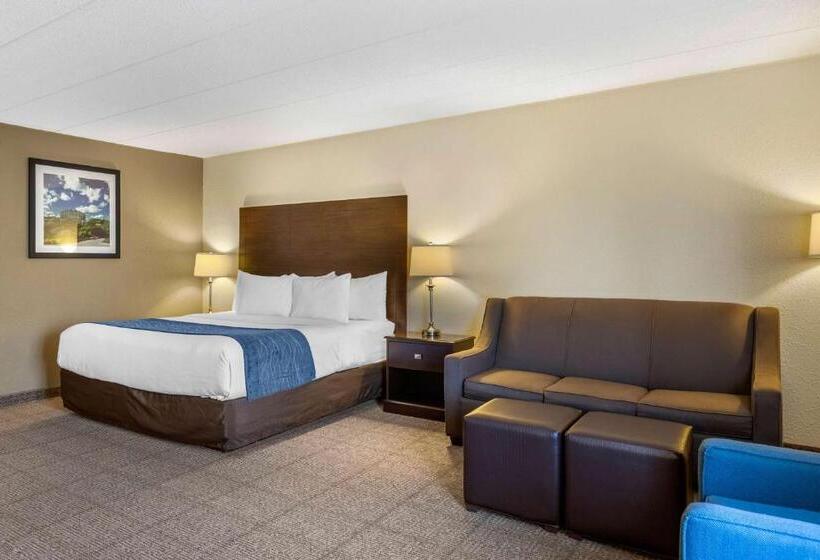 Стандартный Номер Кровать Кинг, Comfort Inn Grand Rapids Airport