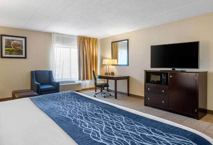 Стандартный Номер Кровать Кинг, Comfort Inn Grand Rapids Airport