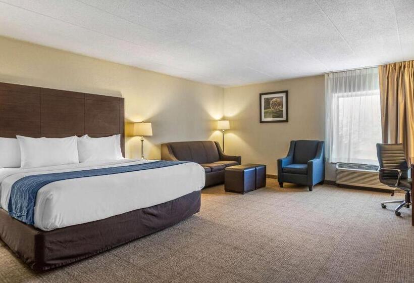 Стандартный Номер Кровать Кинг, Comfort Inn Grand Rapids Airport