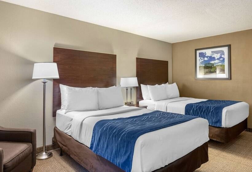 Номер Стандарт 2 Двуспальные Кровати, Comfort Inn Grand Rapids Airport