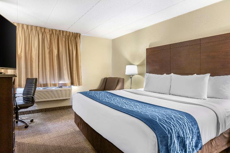 Стандартный Номер Кровать Кинг, Comfort Inn Grand Rapids Airport
