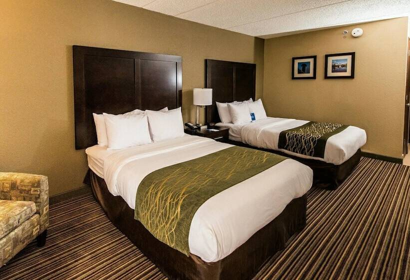 ２ダブルベッドのスタンダードルーム, Comfort Inn Lehigh Valley West